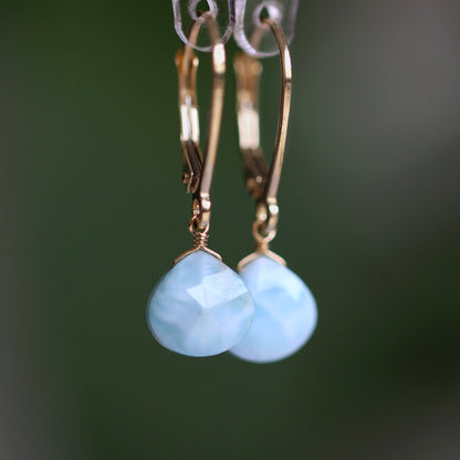 14k Gold Larimar Leverback Earrings
Dangle Earrings