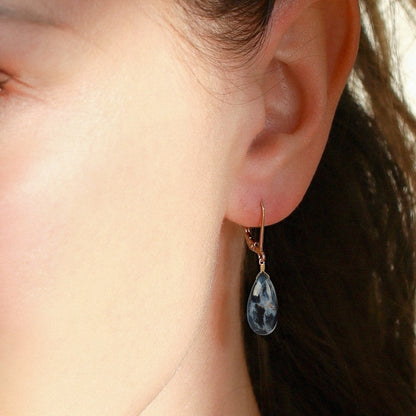 Pietersite Earrings