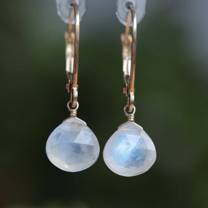 Rainbow Moonstone Earrings