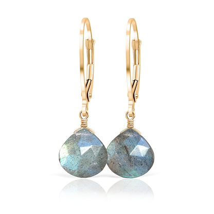 14k Gold Labradorite Dangle Earrings